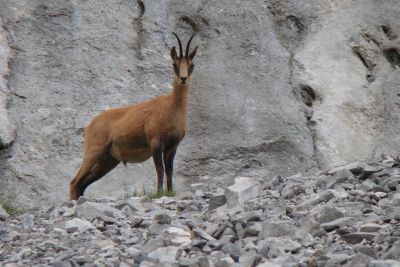 Monte Perdido Ordesa