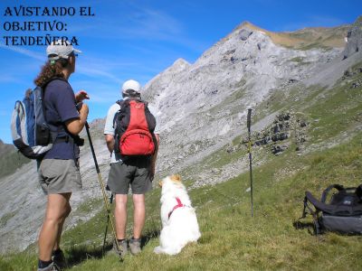 tendeñera